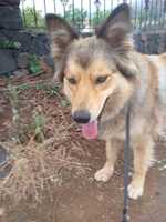 Free download Tana [ 2019 ] free photo or picture to be edited with GIMP online image editor